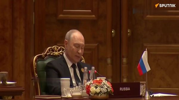 Путин на саммите БРИКС - Sputnik Азербайджан
