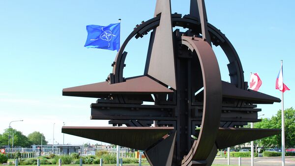 Senior US administration official said that Ukraine's membership in NATO is not being considered by the alliance. - Sputnik Азербайджан