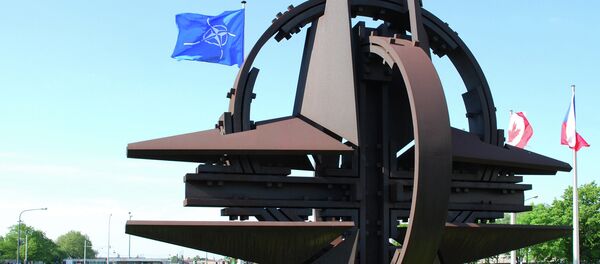 Senior US administration official said that Ukraine's membership in NATO is not being considered by the alliance. - Sputnik Азербайджан