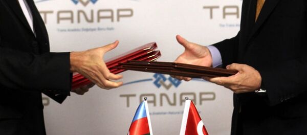 проект TANAP и «Южный коридор» проект TANAP и «Южный коридор» - Sputnik Азербайджан