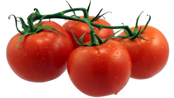 Pomidor - Sputnik Azərbaycan