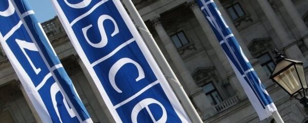 Флаги с логотипом ОБСЕ в Вене - Sputnik Азербайджан