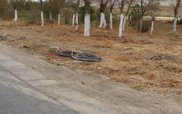 Вырубка деревьев в Сумгайыте - Sputnik Азербайджан