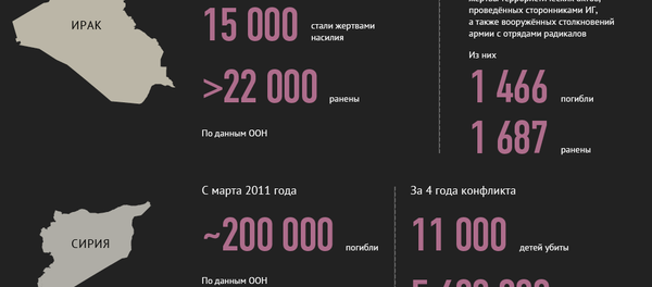 Исламское государство - одна из главных угроз мировой безопасности - Sputnik Азербайджан