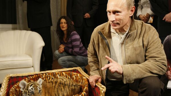 Владимир Путин познакомил журналистов с подаренным ему тигренком - Sputnik Азербайджан