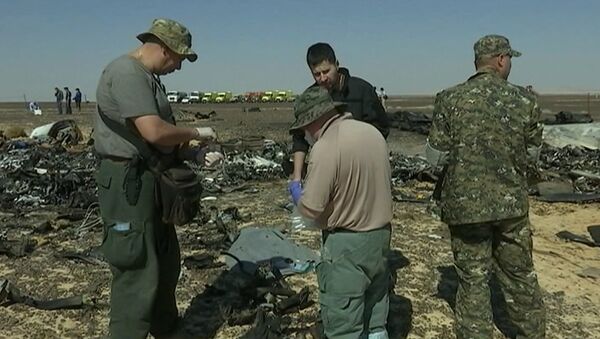 Сотрудники МЧС РФ собирали материалы для следствия на месте крушения A321 - Sputnik Азербайджан