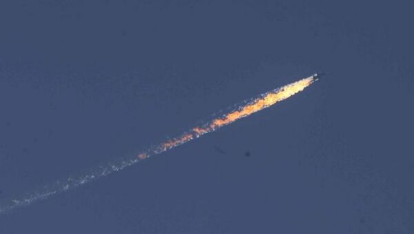 Türkiye-Suriye sınırında askeri uçak düştü - Sputnik Азербайджан