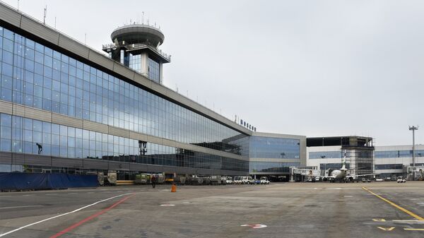Moskvanın Domodedovo hava limanı - Sputnik Azərbaycan
