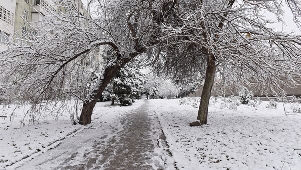 Снегопад. Архивное фото - Sputnik Азербайджан