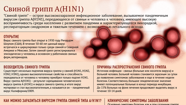 О свином гриппе инфографика - Sputnik Азербайджан