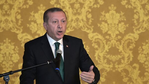 Президент Турции Реджеп Тайип Эрдоган. Архивное фото - Sputnik Azərbaycan