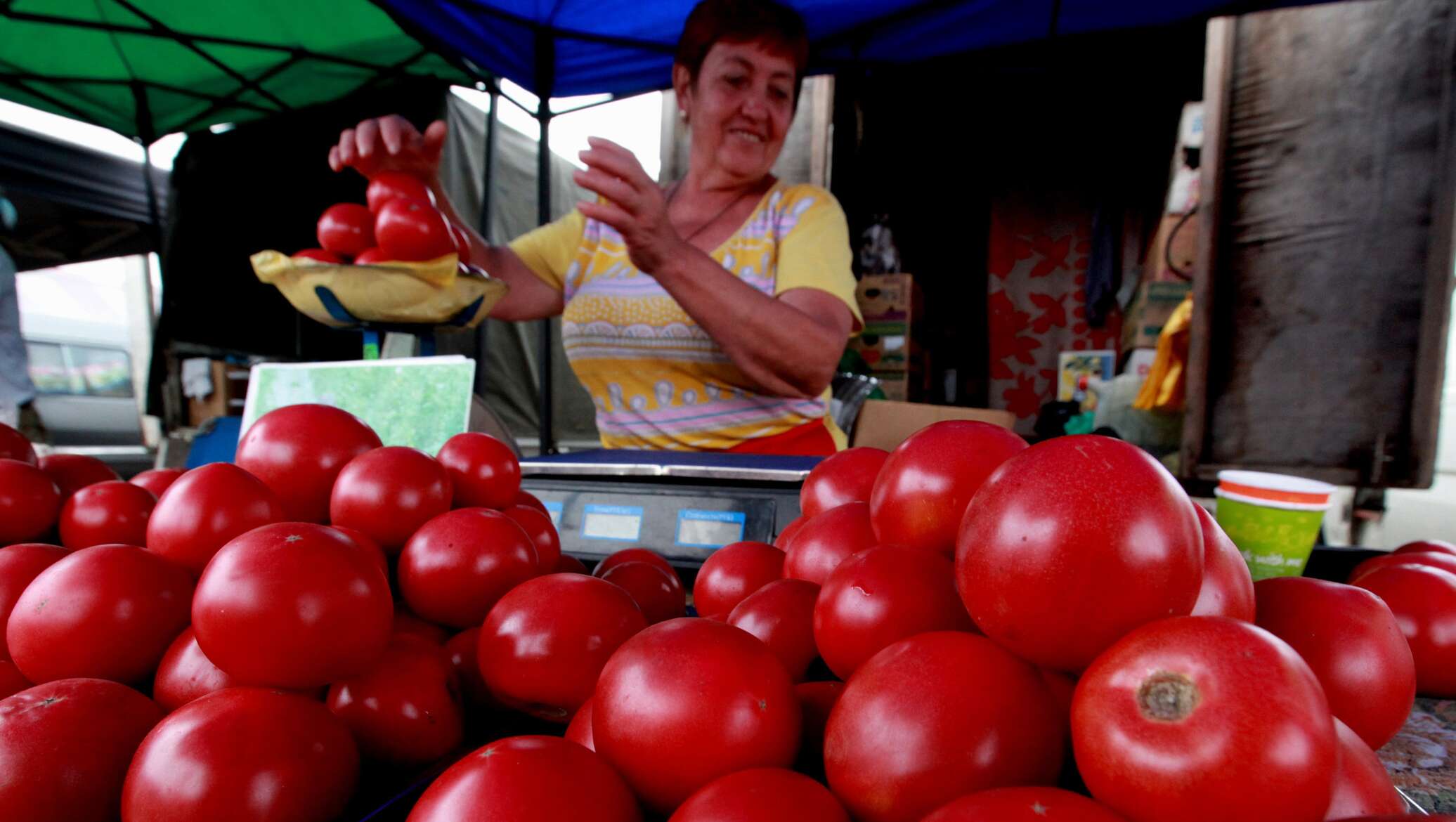 Томаты рынок. Помидоры на рынке. Продавец помидоров. Базар с помидорами. Азербайджанские помидоры сорта.