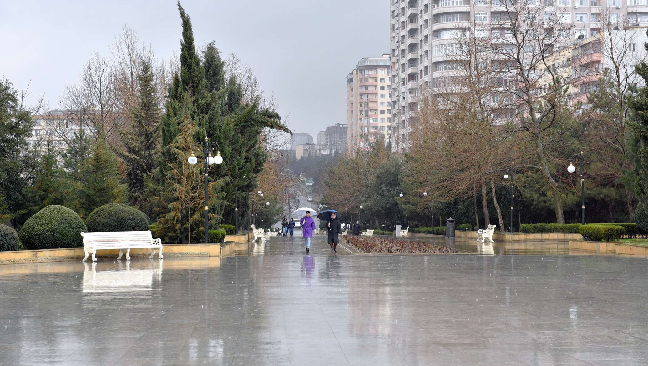 Прогноз погоды в баку на 14. Дождь в Азербайджане. Баку в марте. Баку климат.