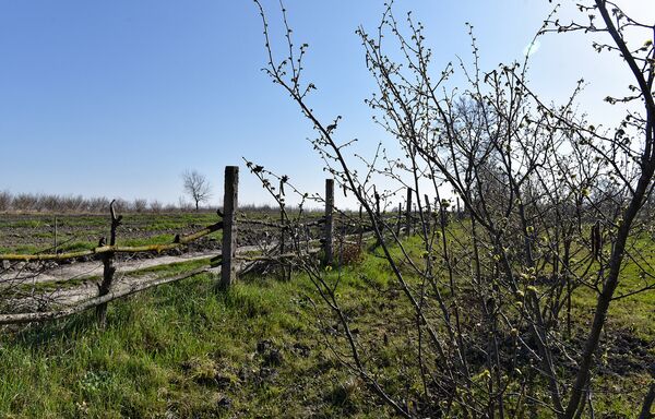 Весна в Азербайджане - Sputnik Азербайджан