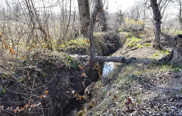 Arxın üzərində yıxılmış ağacdan körpü - Sputnik Azərbaycan