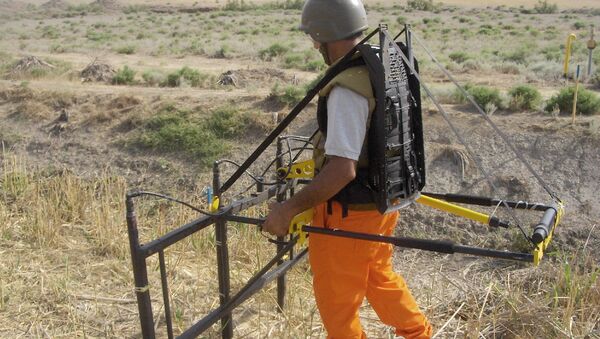 Сотрудник ANAMA занимается разминированием территории. Архивное фото - Sputnik Азербайджан