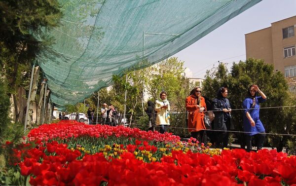 В первый год удалось посадить 6 тысяч тюльпанов, во второй 10 тысяч, а в этом году – уже 30 тысяч цветов - Sputnik Азербайджан