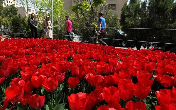 Для того, чтобы посадить 30 тысяч тюльпанов, Хоуман Ардебили потратил примерно 11,5 тысяч долларов - Sputnik Азербайджан