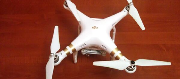 Беспилотный летательный аппарат типа DJI PHANTOM, принадлежащий ВС Армении - Sputnik Азербайджан