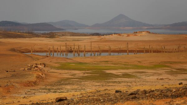 Последствия засухи в штате Боливар, Венесуэла - Sputnik Азербайджан