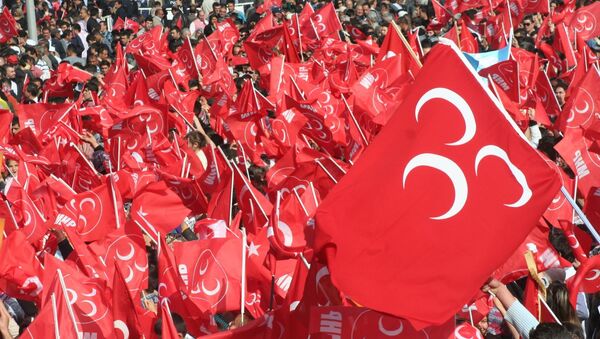 Türkiyənin Milliyətçi Hərəkat Partiyasınnın tərəfdarları - Sputnik Azərbaycan