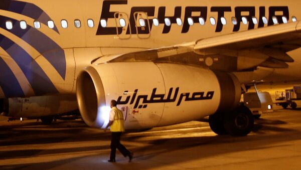 Сотрудник безопасности аэропорта Луксор проверяет самолет EgyptAir после прибытия из Каира - Sputnik Azərbaycan