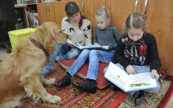 Четырехлапые доктора: как вылечиться, читая собакам книги - Sputnik Азербайджан