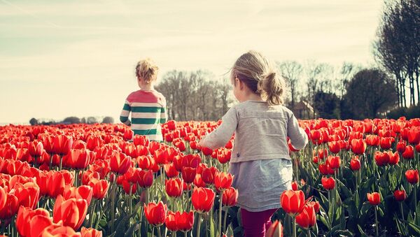 Дети в поле тюльпанов. Архивное поле - Sputnik Азербайджан