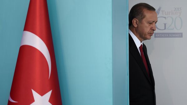 Türkiyə prezidenti Rəcəb Tayib Ərdoğan - Sputnik Azərbaycan