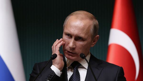 Vladimir Putin Ankarada. 1 dekabr 2014-cü il - Sputnik Azərbaycan