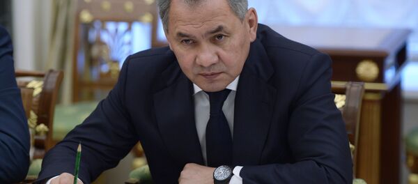 Министр обороны РФ Сергей Шойгу - Sputnik Азербайджан