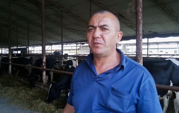 Менеджер хозяйства Черная корова  Физули Ахмедов оценивает убытки в более чем миллион манатов - Sputnik Азербайджан