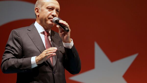 Президент Турции обращается к своим сторонникам в своей резиденции в Стамбуле - Sputnik Азербайджан