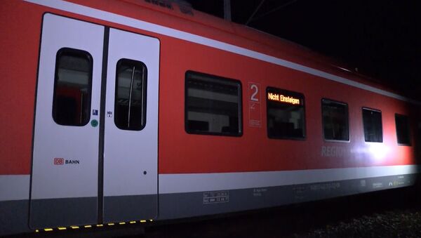 Мужчина с топором напал на пассажиров поезда в Германии. Кадры с места ЧП - Sputnik Азербайджан