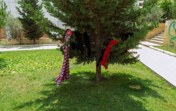Женщина развешивает одежду на ветках деревьев - Sputnik Азербайджан