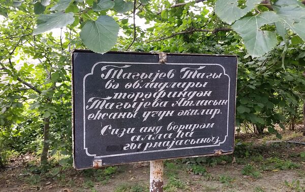 Надпись на табличке: Деревья посажены Таги Тагиевым и его детьми в память Атлас ханым. Большая просьба не ломать их - Sputnik Азербайджан