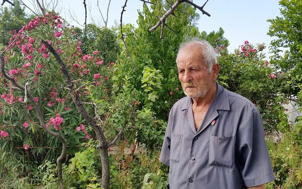 Сегодня он выращивает на кладбище более десяти видов фруктовых деревьев, среди них инжир, гранат, тут, персик и даже орешник - Sputnik Азербайджан