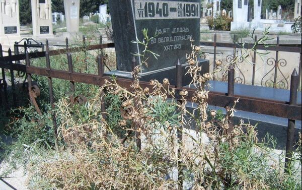 Гармала растет в основном на кладбищах - Sputnik Азербайджан