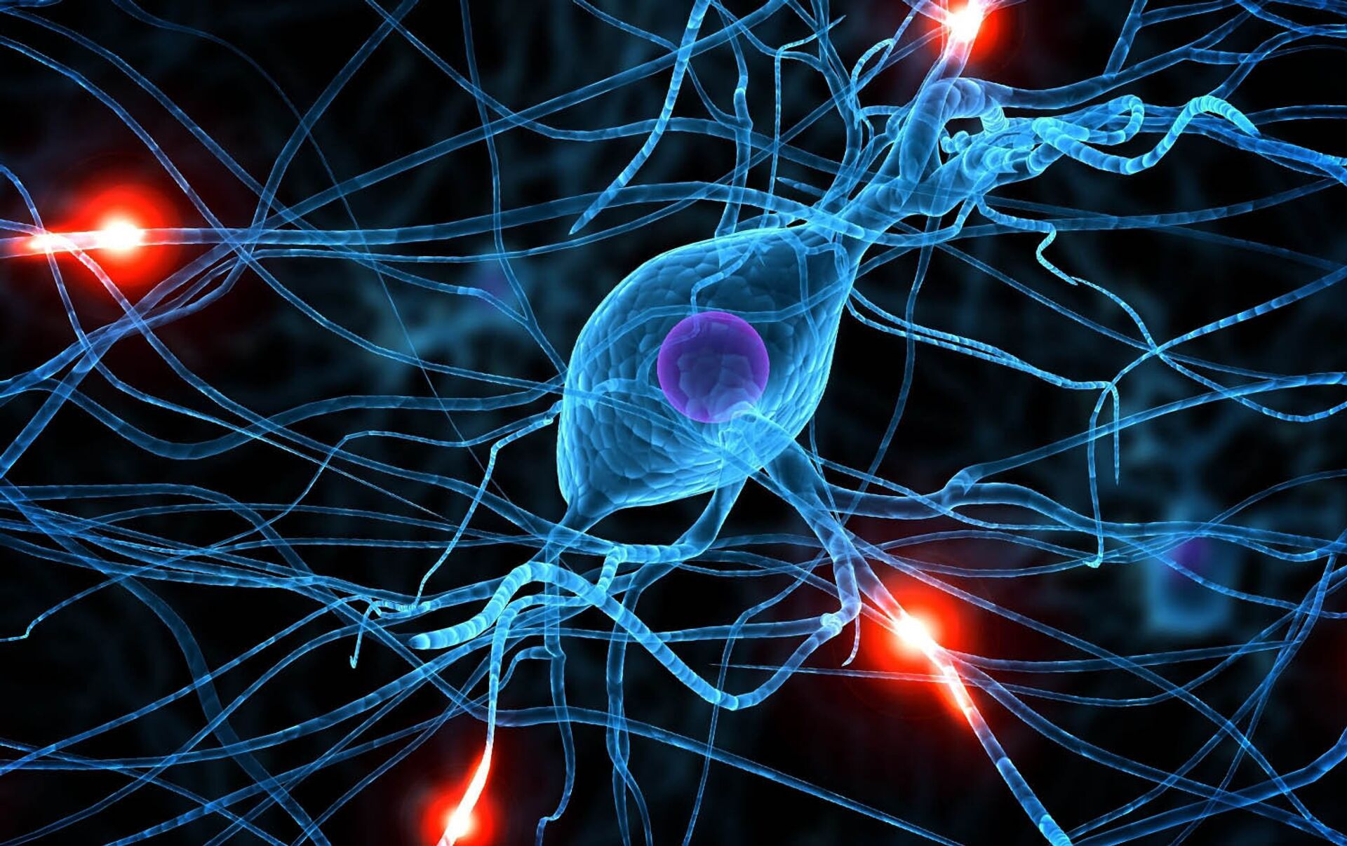 Клетки мозга восстанавливаются. Нервная система человека Нейрон. Нейрон клетка головного мозга. Нейрон клетка нервной системы. Нервные клетки фото.