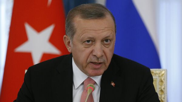 Türkiyə prezidenti Rəcəb Tayyip Ərdoğan - Sputnik Azərbaycan