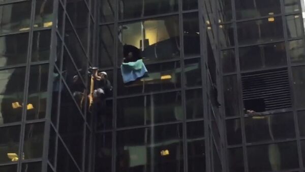 В Нью-Йорке мужчина взобрался на небоскреб Trump tower - Sputnik Азербайджан