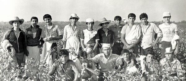 Сбор хлопка. Бардинский район, 1985 год - Sputnik Азербайджан