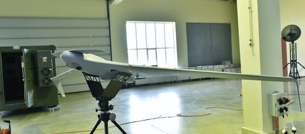 İlham Əliyev “Zərbə” pilotsuz uçuş aparatlarının təqdimatında iştirak edib - Sputnik Азербайджан