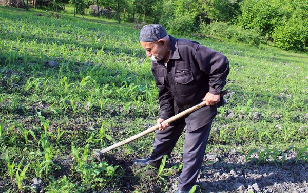 Житель села Гаратала Гахского района Эйюб Махсимов - Sputnik Азербайджан