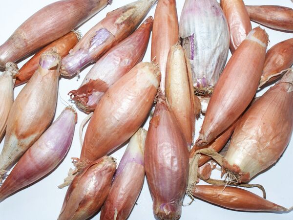Говсанский лук длинноватой формы и острый на вкус Говсанский лук длинноватой формы и острый на вкус - Sputnik Азербайджан