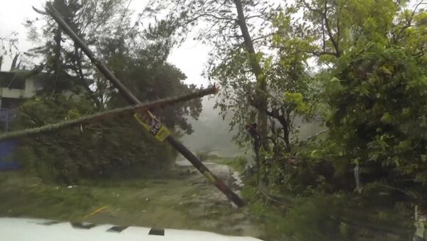 Затопленные улицы и поваленные деревья - последствия урагана Мэтью на Гаити - Sputnik Азербайджан