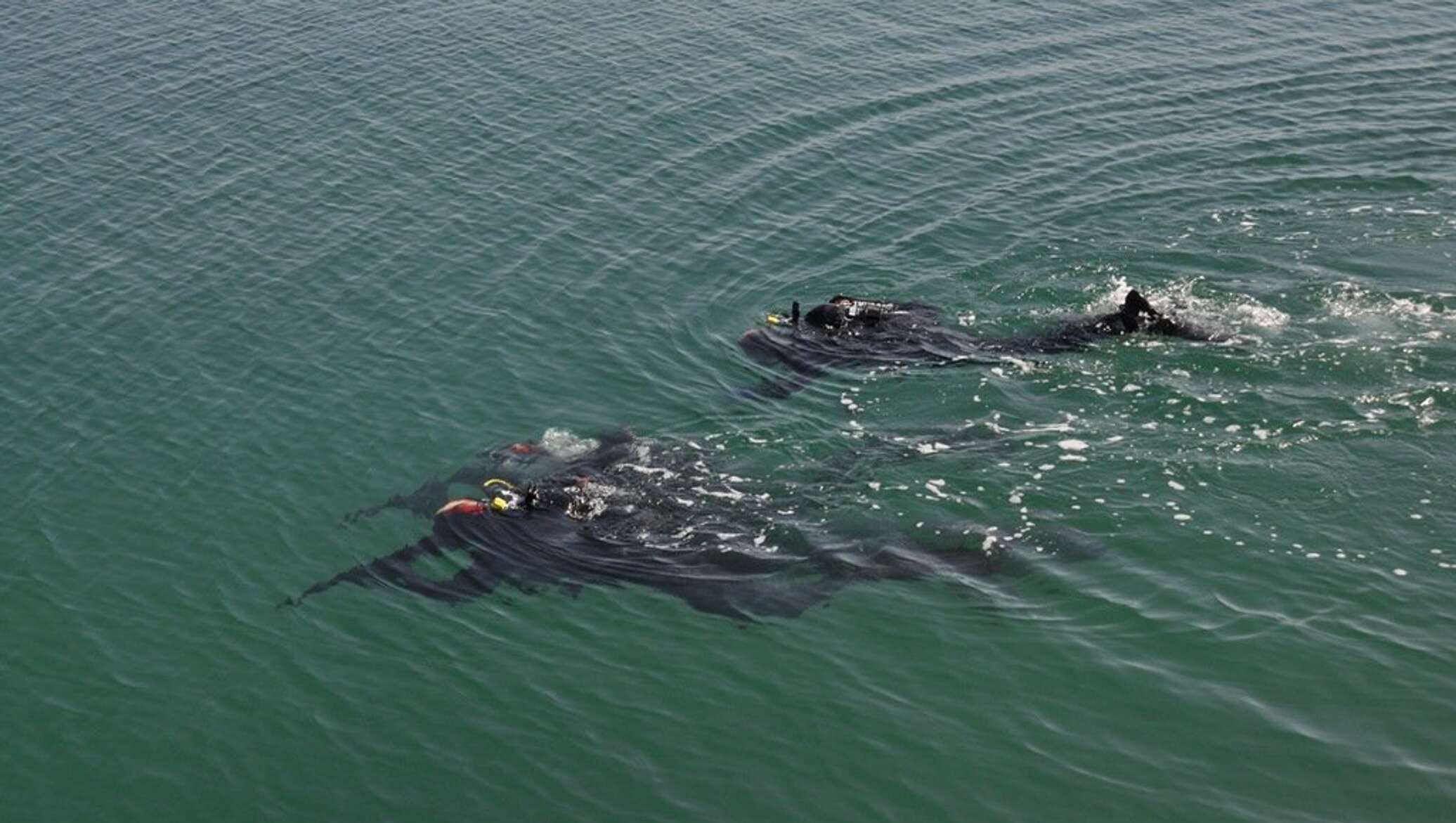 русалки в каспийском море