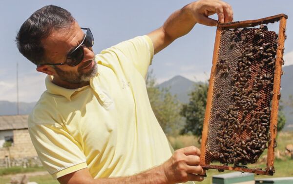 Председатель Гахского общества пчеловодов Бадраддин Хасратов - Sputnik Азербайджан