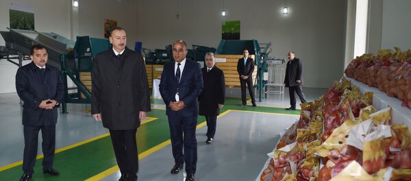 Ильхам Алиев принял участие в презентации сельского фермерского хозяйства Биринджи Шихлы Ильхам Алиев принял участие в презентации сельского фермерского хозяйства Биринджи Шихлы - Sputnik Азербайджан