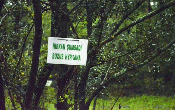 Hirkan Milli Parkı - Sputnik Azərbaycan